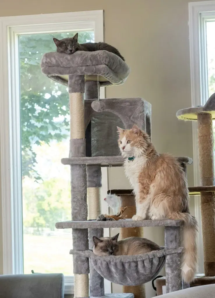 Globlazer F70 Pro Cat Tree Review: 70-Inch Heavy-Duty Multi-Cat Architecture Tested